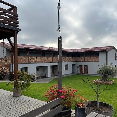 Penzion Vinarstvi Fabikovic Velké Bílovice Dış mekan fotoğraf