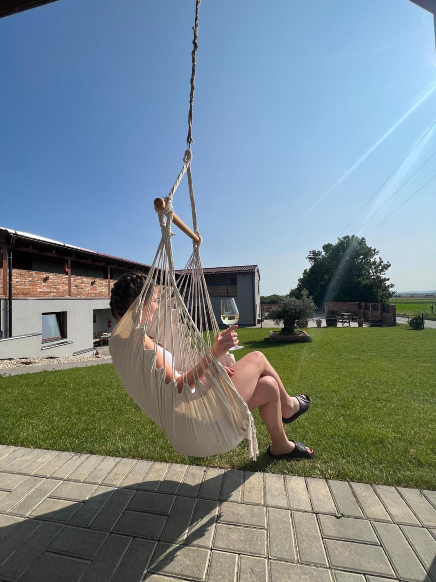 Penzion Vinarstvi Fabikovic Velké Bílovice Dış mekan fotoğraf